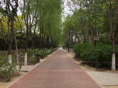 -大兴滨河森林公园