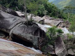 -海南霸王岭国家森林公园