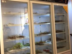 -长颈鹿的口袋钵钵鸡(市南店)