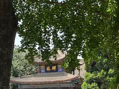 -西安碑林博物馆