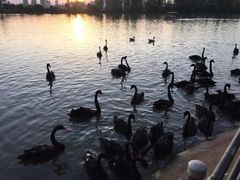 -艾溪湖湿地公园