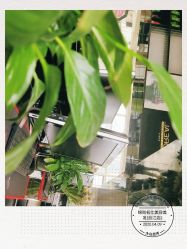 -锦尚名仕美容美发