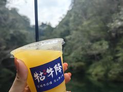 -石台牯牛降景区