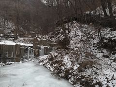 -天女山森林公园