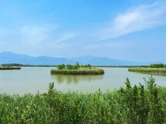 -野鸭湖国家湿地公园