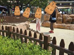 -大连森林动物园