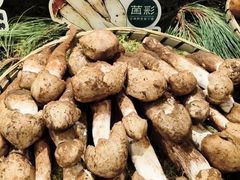 -菌彩云南野生菌火锅(新亚洲店)