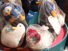 -沈阳海洋探索中心