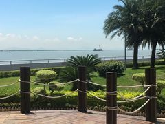 -大湾区中央湿地公园
