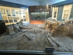 -古车博物馆
