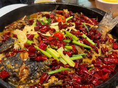 -老板恋上鱼(印象城店)