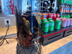 -烟台中泽华羿铂尔曼酒店·汇·全日餐厅·高空海景自助