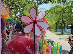 -上海海湾国家森林公园