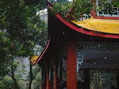 -莫干山风景区