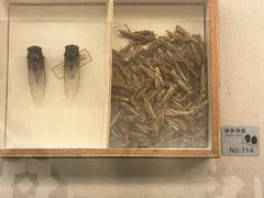 -土山湾博物馆