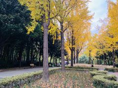 -苏州河梦清园环保主题公园