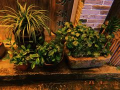 -新月集庭院咖啡馆(老邮局店)