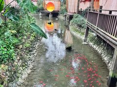 -二荆条·蜀鲜汇城市森林火锅