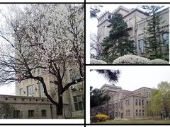 -东北大学(南湖校区)