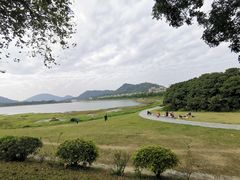 -风云岭森林公园