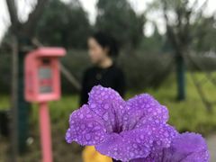 -东湖落雁景区