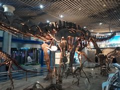 -国家自然博物馆