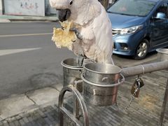 -四海楼(如皋定慧禅寺店)