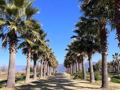 -洱海月湿地公园