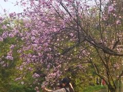 -重庆彩云湖湿地公园