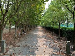 -华东政法大学(松江校区)