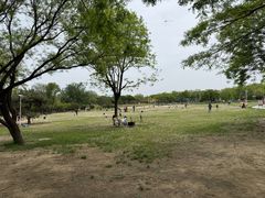 -太阳宫公园
