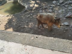 -杭州野生动物世界