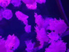 -多彩贵州城极地海洋世界