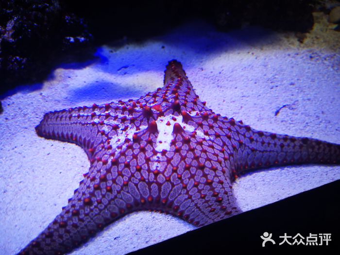 郑州海洋馆图片