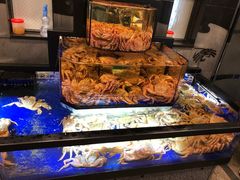 -蟹道乐(道顿堀本店)