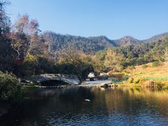 -广州市石门国家森林公园