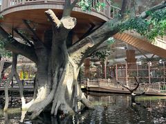 -南宫五洲植物乐园