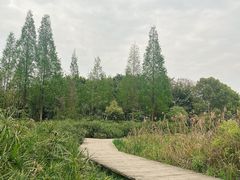-成都南湖公园