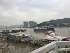 -横琴客运码头