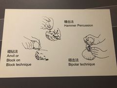 -北京周口店北京人遗址博物馆