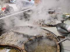 -小杨翘脚牛肉
