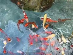 -57度湘(王府井10F店)