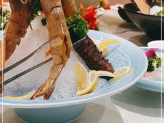 -中苑海韵