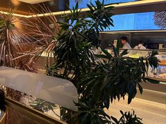 -Bco豆库(星耀天地店)