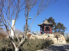 -大兴滨河森林公园