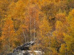 -叠溪松坪沟景区