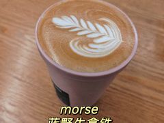 -MORSE COFFEE烘焙工坊(天安店)