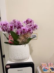 -海涛医疗美容·面部抗衰·注射美鼻