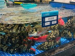 -东海怡品海鲜豆捞(舟宿夜江店)