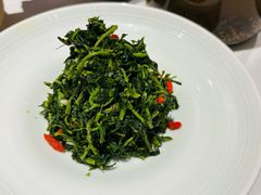 红果枸杞苗-清真·宁夏印象·盐池滩羊肉体验店(江宁路店)